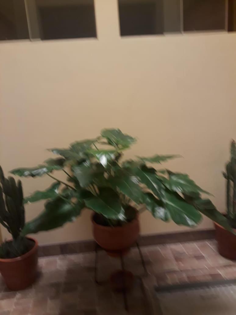 El Marquez Hotel Tacna Bagian luar foto